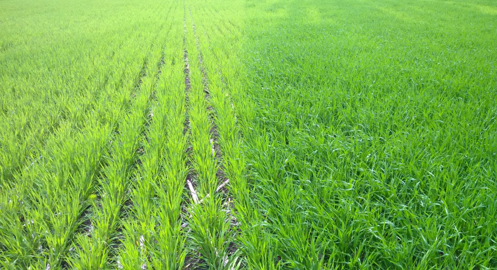 Преимущества внесения КАС