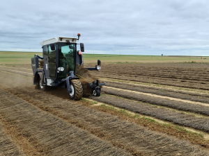 Оборачиватель лент льна в Беларуси