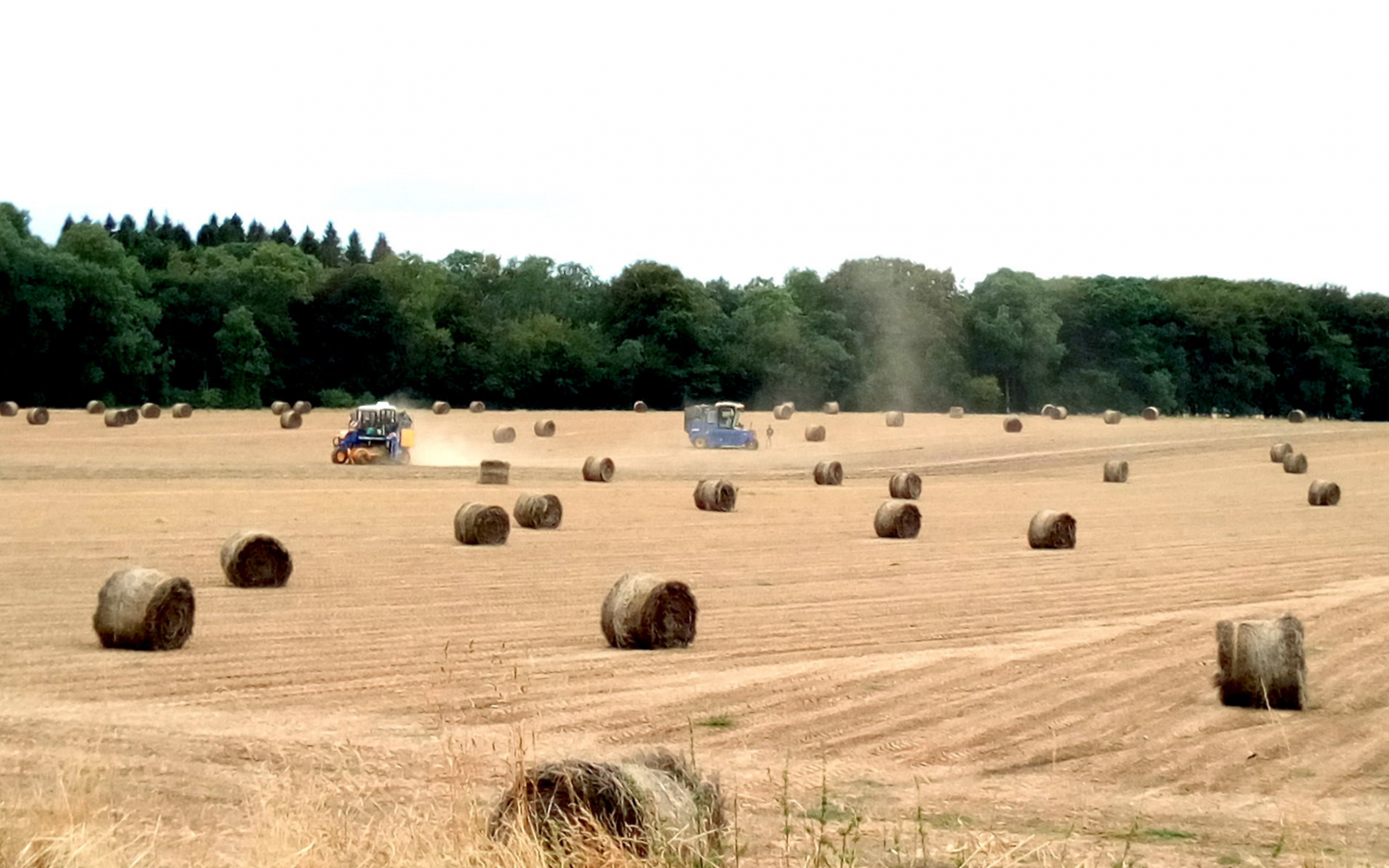 Пресс-подборщик льна