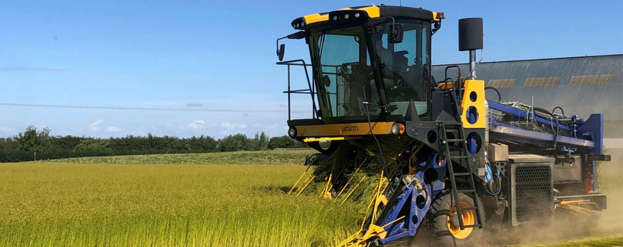 Теребилка льна