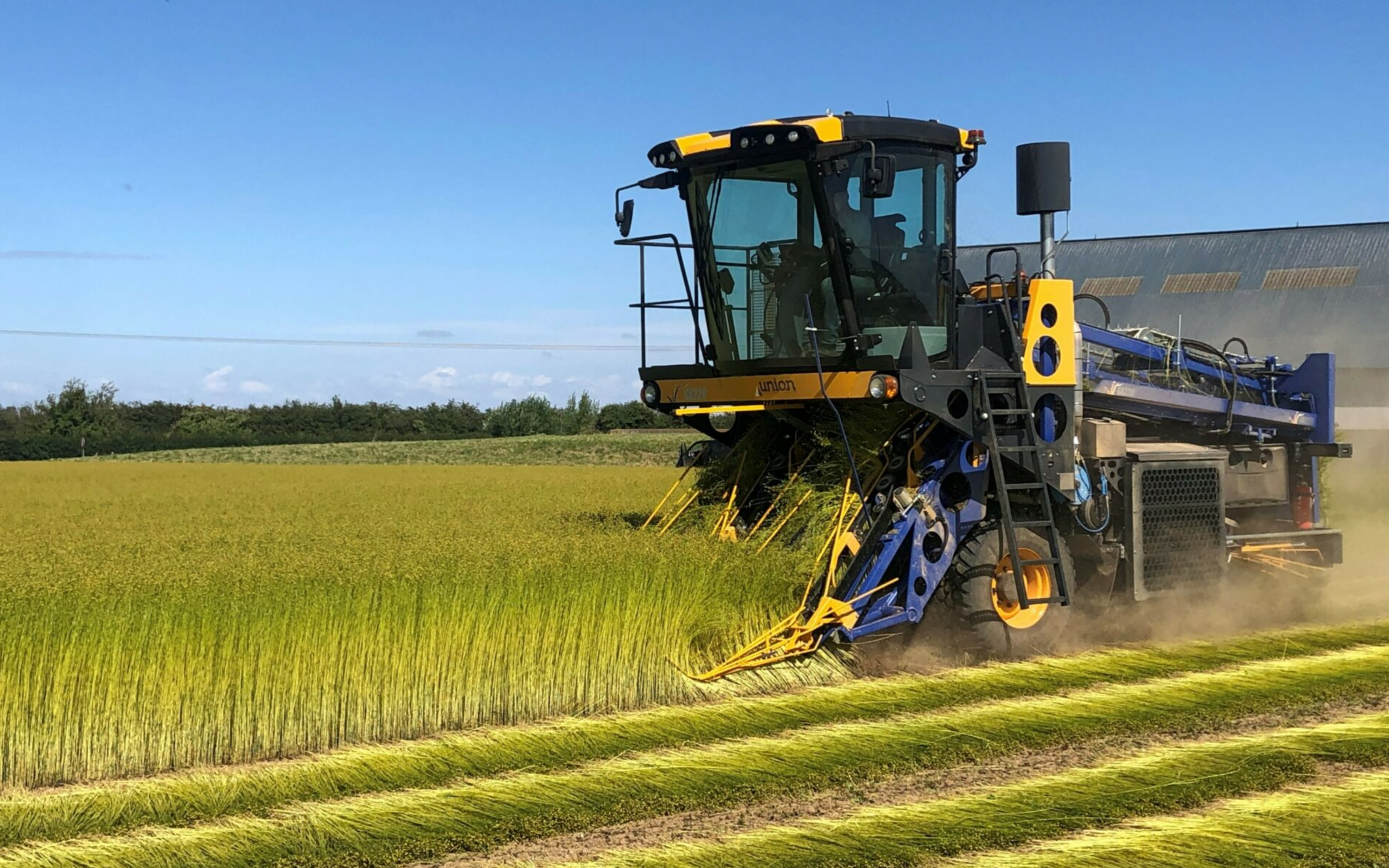 Теребилка льна