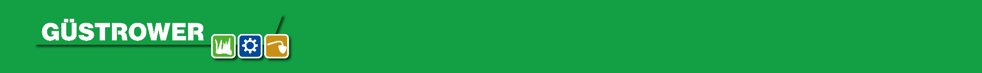 Güstrower_advisance_footer_2000x150_2