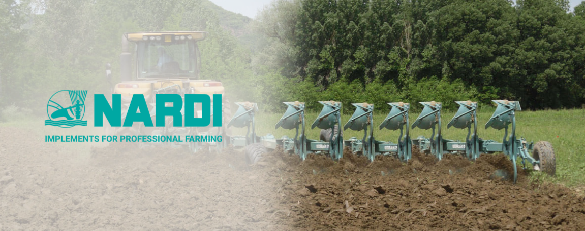 Nardi